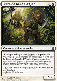 Frre de bande d'Ajani - 