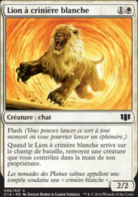 Lion  crinire blanche - 