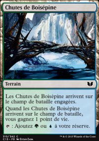 Chutes de Boispine - 