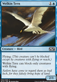 Welkin Tern - 