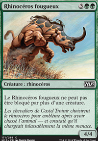 Rhinocros fougueux - 