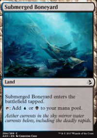 Submerged Boneyard - 