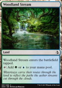 Woodland Stream - 