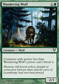 Wandering Wolf - 