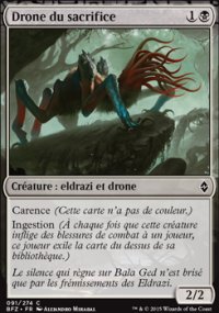 Drone du sacrifice - 