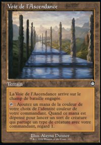 Voie de l'Ascendance - The Brothers' War Commander Decks