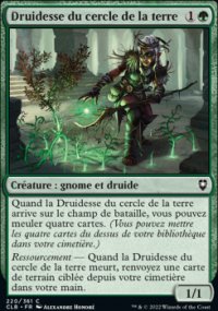 Druidesse du cercle de la terre - 