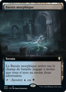 Bassin morphique - 