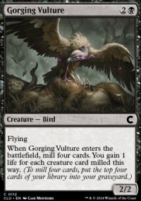 Gorging Vulture - 