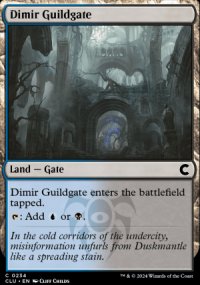 Dimir Guildgate - 