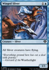 Winged Sliver - 