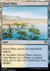 Flood Plain - 