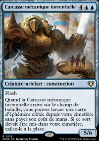 Carcasse mcanique torrentielle - 