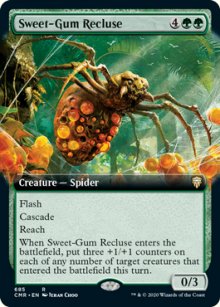 Sweet-Gum Recluse - 