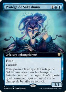 Protg de Sakashima - 