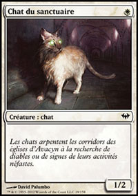 Chat du sanctuaire - 