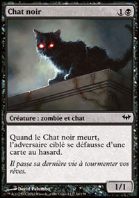 Chat noir - 