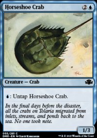 Horseshoe Crab - 