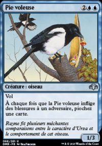 Pie Voleuse - 