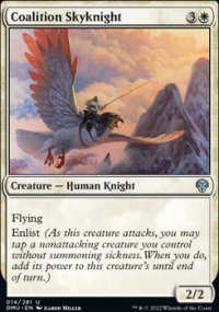 Coalition Skyknight - 