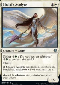 Shalai's Acolyte - 