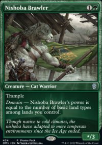 Nishoba Brawler - 