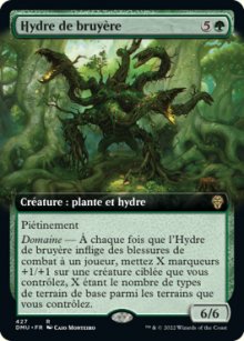 Hydre de bruyre - 