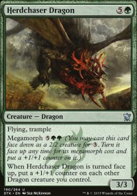 Herdchaser Dragon - 