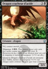 Dragon cracheur d'acide - 