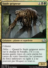 Saule geigneur - 