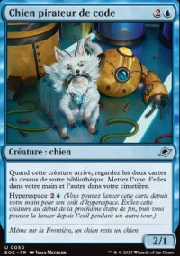 Chien pirateur de code - Edge of Eternities