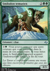 Smilodon temurien - 