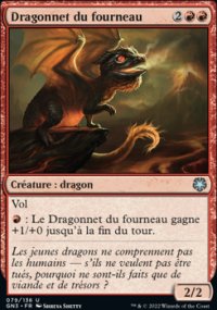 Dragonnet du fourneau - 