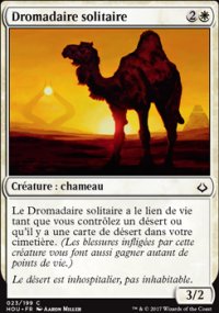 Dromadaire solitaire - 