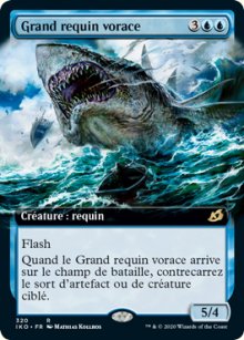 Grand requin vorace - 