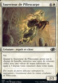 Sauveteur de Piliescarpe - 