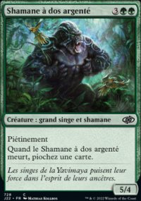 Shamane  dos argent - 