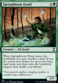 Springbloom Druid - 