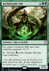 Archidruide elfe - 