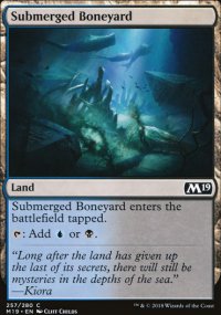 Submerged Boneyard - 