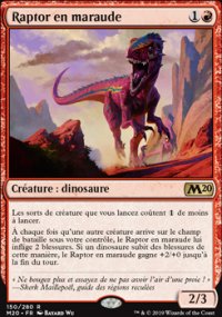 Raptor en maraude - 