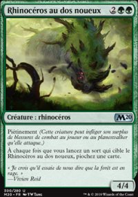 Rhinocros au dos noueux - 