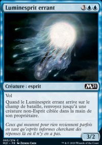 Luminesprit errant - 