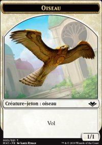 Oiseau - 