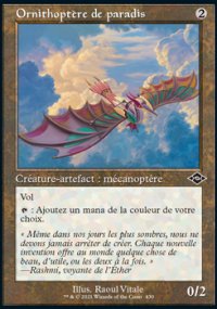 Ornithoptre de paradis - 