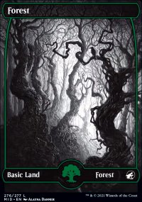 Forest 1 - Innistrad: Midnight Hunt