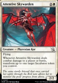 Attentive Skywarden - 