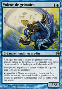 Voleur de grimoire - 