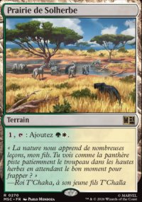 Prairie de Solherbe - Marvel Super Heroes Commander Decks