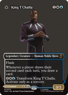 <br>Black Panther, Hope Enduring